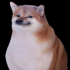 CyberSparky13's Avatar'