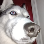 Arbius.'s Avatar'