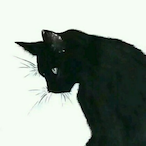 AquaStars.'s Avatar'