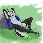 MTC.Husky's Avatar'