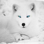 CroustiIIe's Avatar'