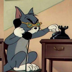 Tomtellini's Avatar'