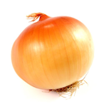 SucculentOnion's Avatar'