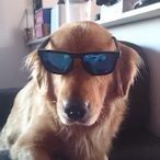SpawnPlayBR's Avatar'