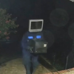 AnOrdinaryTV's Avatar'