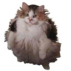 SkepticPanther's Avatar'