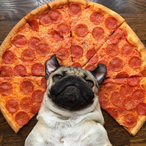 ThePizzaMaker2's Avatar'