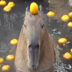 Cababybara's Avatar'