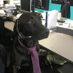 SadOtter75's Avatar'