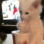 EvanNextDoor's Avatar'