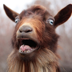 MagvstikNA's Avatar'