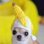 lIlllIlIIlllIII's Avatar'