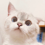 CfueSSP's Avatar'