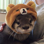 Twistan.exe's Avatar'