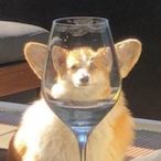 Story_On_Sale's Avatar'