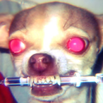 Fandanglement's Avatar'
