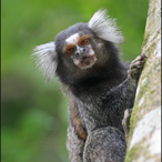 Badtopwarrior's Avatar'