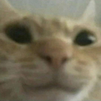 Deddo-Insido.'s Avatar'