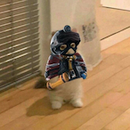 Blojoman.TSM's Avatar'
