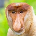 bibipj693's Avatar'