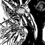 HI_IAM_KENNYLAW's Avatar'
