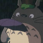 totoroz's Avatar'