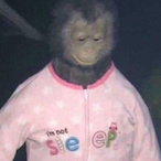 FearTheSweat593's Avatar'