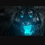 BlackTiger 1909's Avatar'
