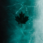 soniamy156's Avatar'