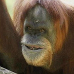 Anne_Flank69's Avatar'