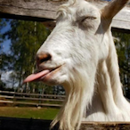 Michaelsnuts975's Avatar'