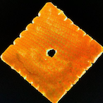 Prime caleb3945's Avatar'