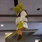 Betrayed_Lotus_'s Avatar'