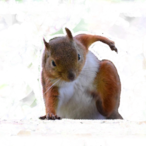 altJ-enjoyer's Avatar'