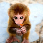 andernicheness's Avatar'