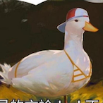 Duck.Bu.Be's Avatar'