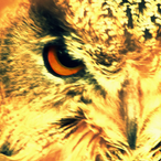 Romeo_Ignited's Avatar'