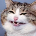 ThrowMaster_'s Avatar'