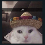 bomboclaaaaat's Avatar'