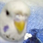Fantommm41's Avatar'