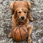 BitByAZombie's Avatar'