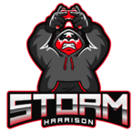 StormIsDooDoo's Avatar'