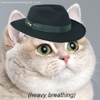 Limp_Brizkit's Avatar'