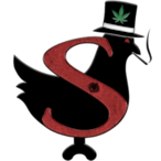 TheBigShwanz's Avatar'