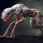 TheMycoFile's Avatar'