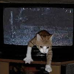 Itz_Gl7tch's Avatar'