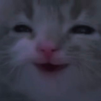 Wilhelles's Avatar'