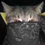 Black.Tris's Avatar'