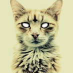 Tigrisdyrsblod's Avatar'