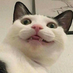 WatchMeDropLLL's Avatar'